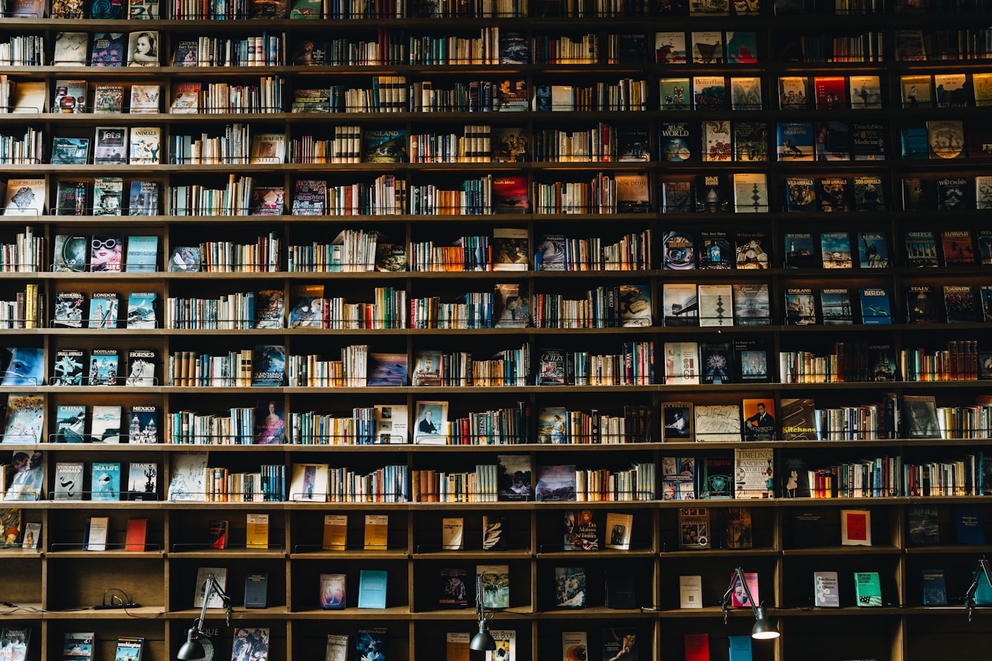 What I learned on the Curtis Brown Creative Six-month Novel Writing Course