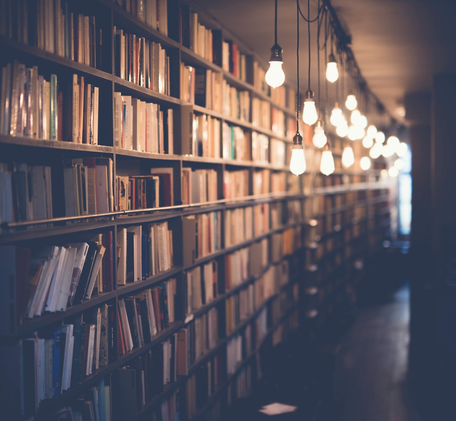 Finding Sanctuary Through The Written Word